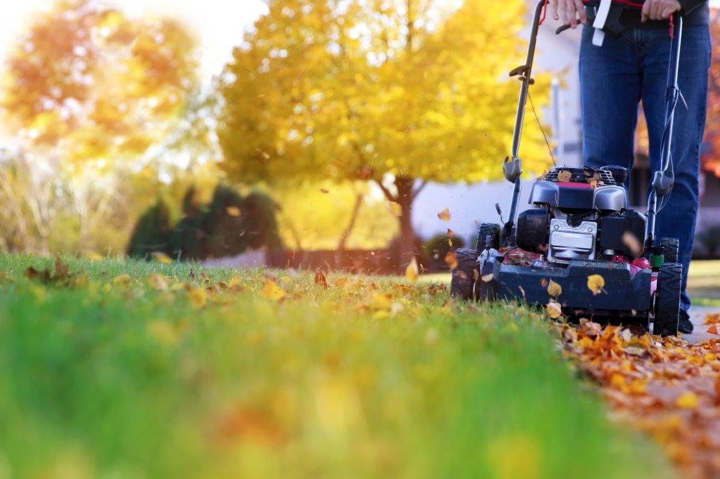 Preparing your lawn for winter