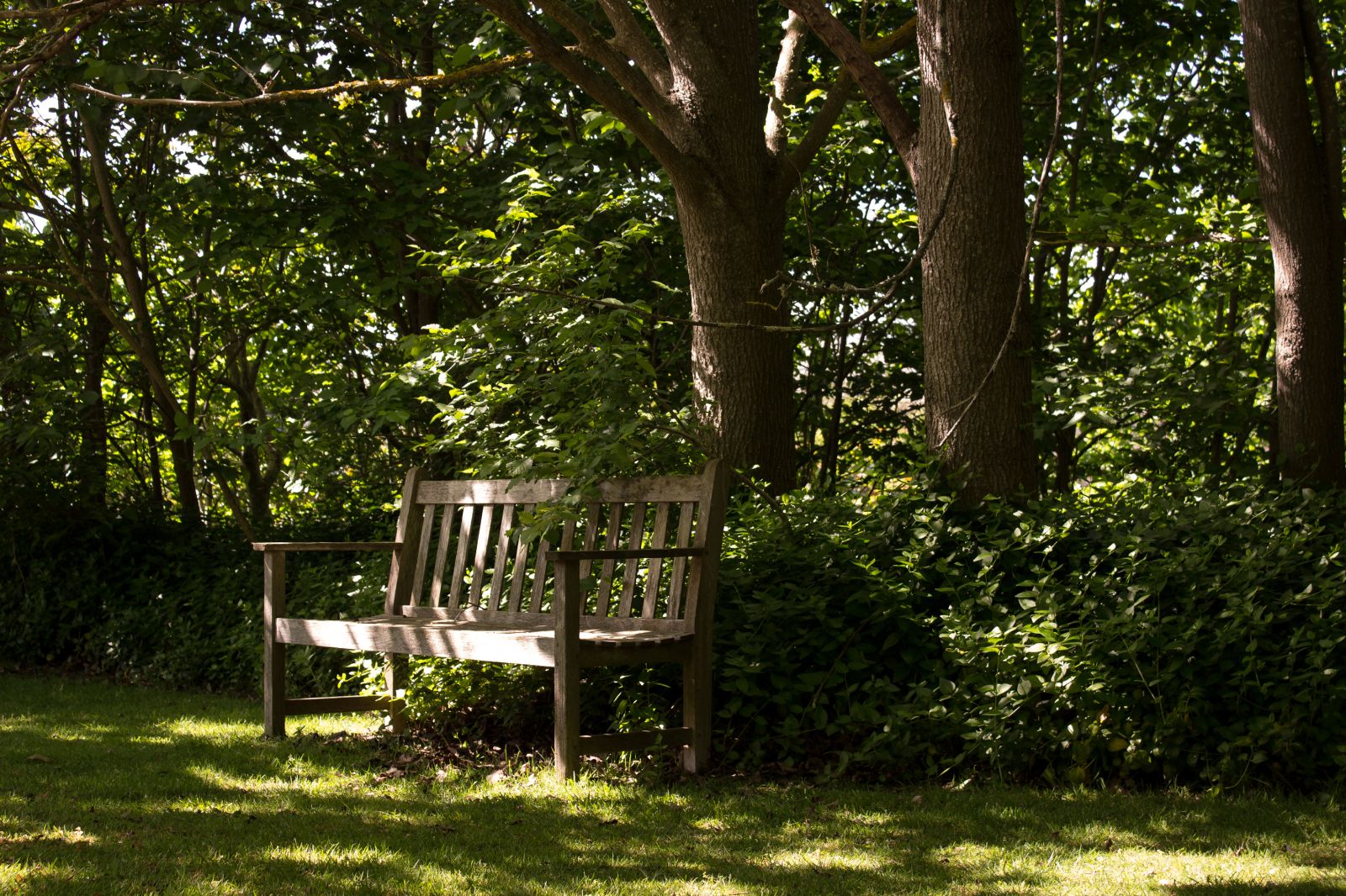 A chair in shade with buffalo turf