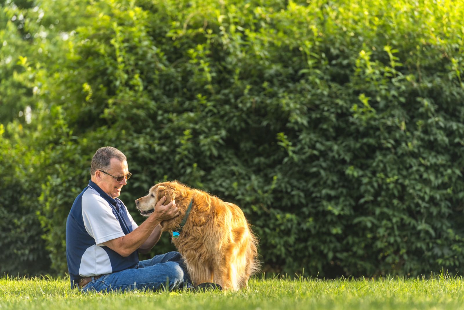 Older man playing with dog on santa ana couch turf
