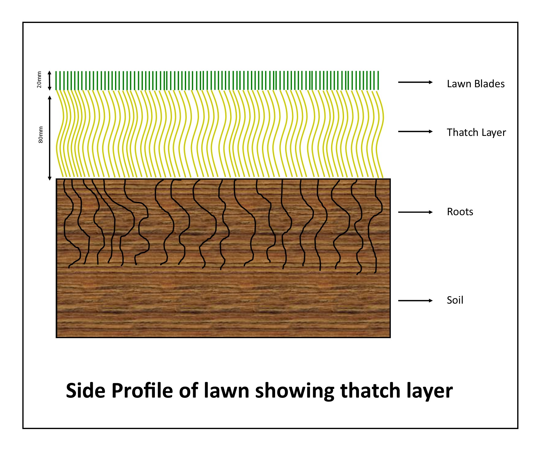 Paul Munns Blog Maintenance Category Scarifying your lawn