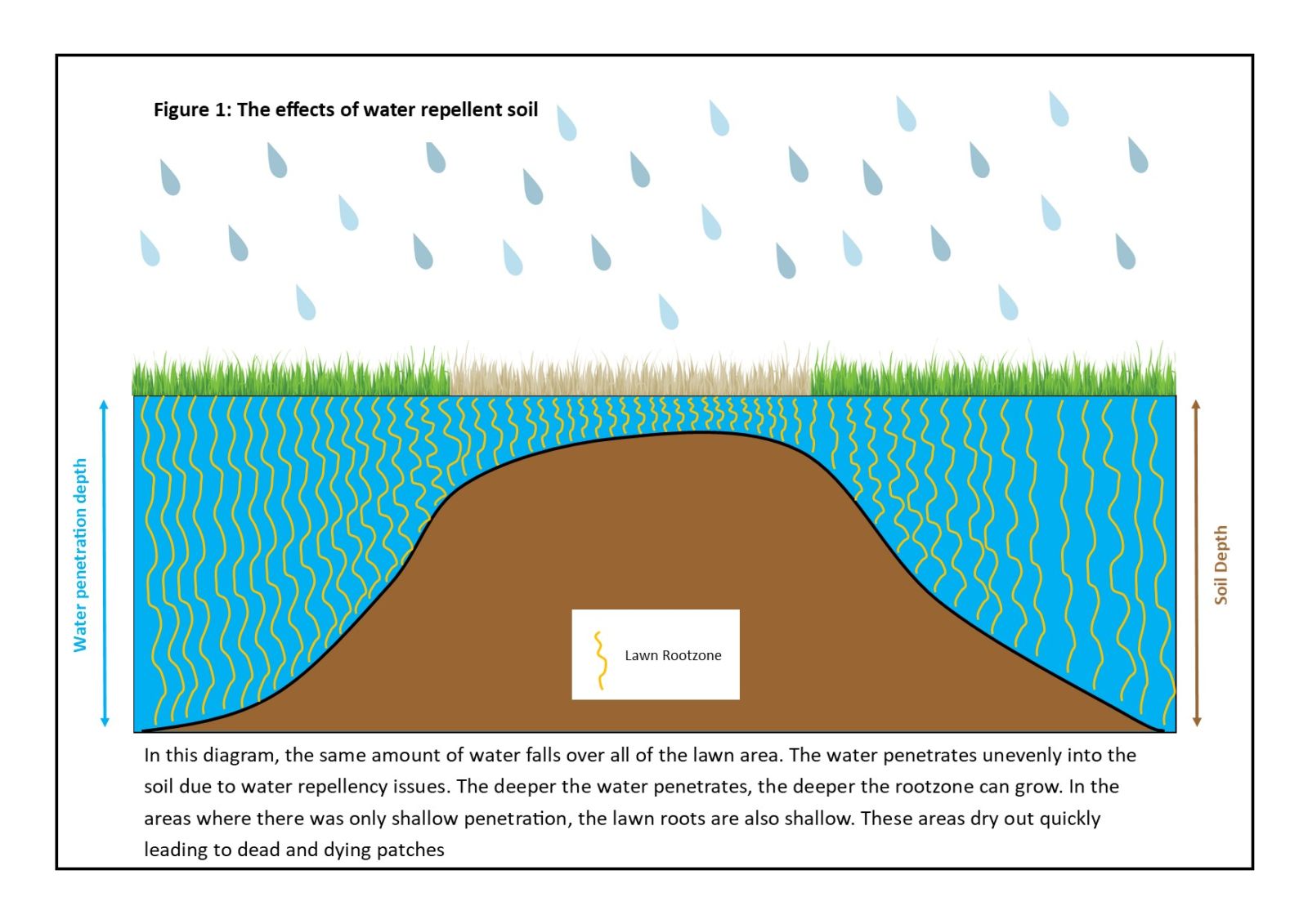 Paul Munns Blog Solve my Problem Category Water repellent soil