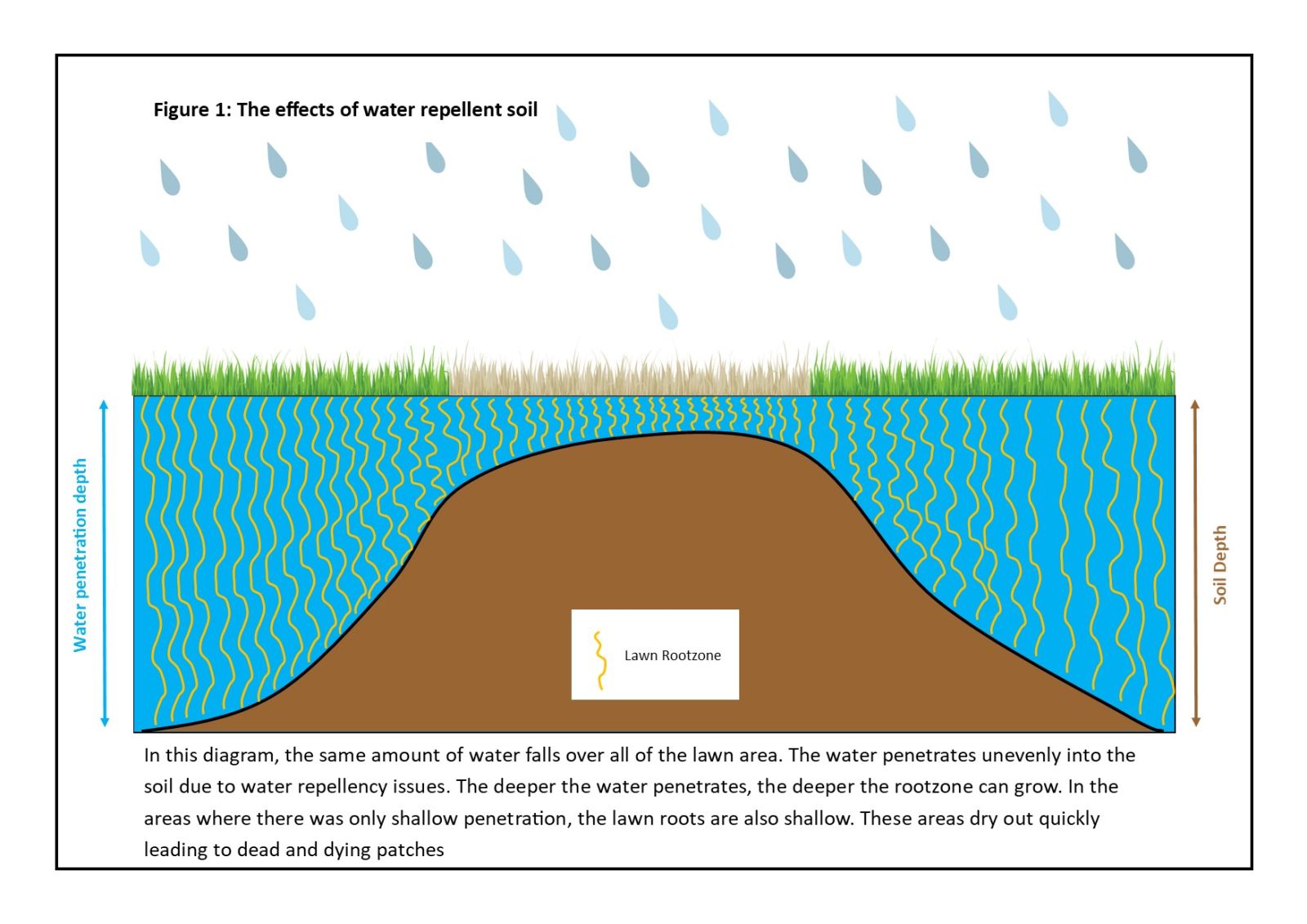 Paul Munns Blog Solve my Problem Category Water repellent soil. Its a real  problem for lawn and its easily solved