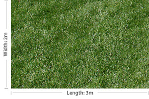 Measuring a rectangular lawn