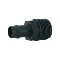 Director 19 x 25 bsp