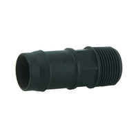 Director 25 x 20 bsp
