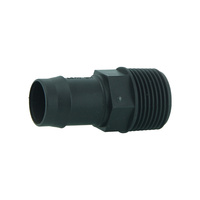 Director 25 x 25 bsp