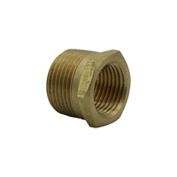 Bush Reducing Brass 20x15