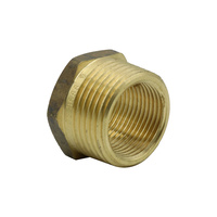 Bush Reducing Brass 25x20