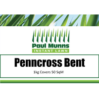 Bentgrass seed 1kg