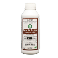 Bow and Arrow 500ml