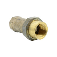 Dual Check Valve Female 25mm