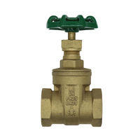 Watermarked Gate Valve 25mm
