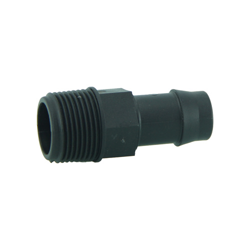 Director 19 x 20 bsp 