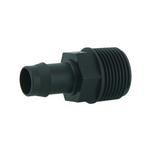 Director 19 x 25 bsp