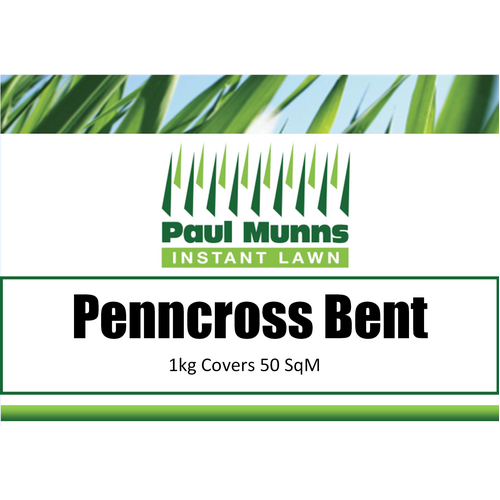 Bentgrass seed 1kg