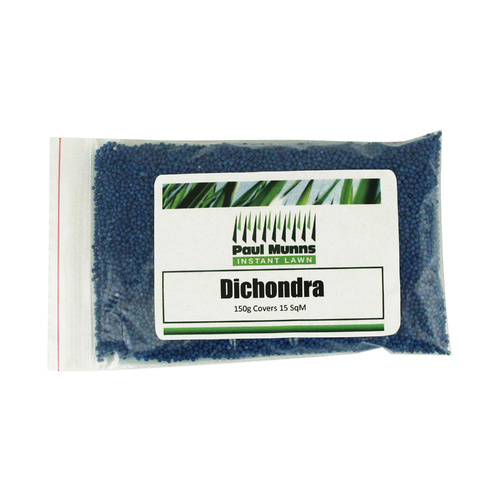 Dichondra Repens seed 150g