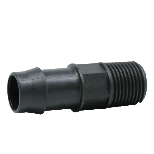 Director 19 x 15 bsp