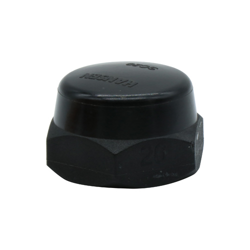 20mm Cap