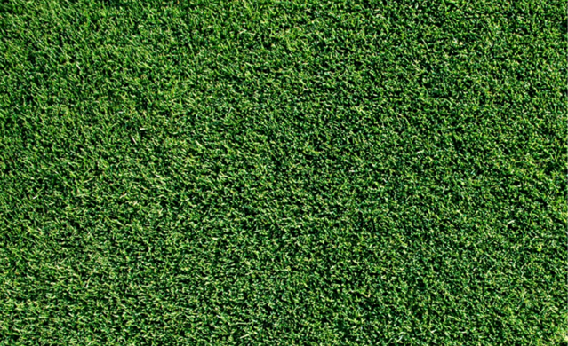 Windsor Green Couch image