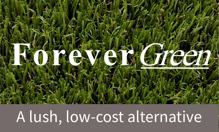 Forever Green image