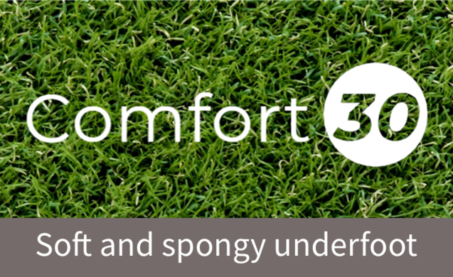 Comfort 30 image